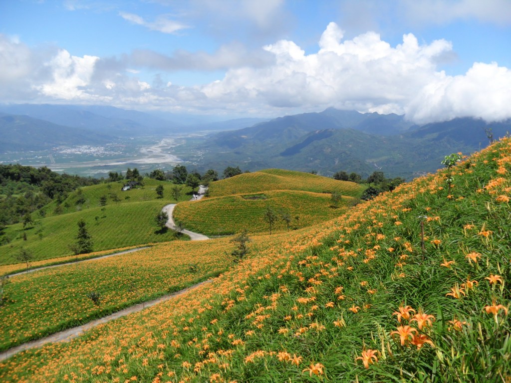遠距復健的研究先驅-慈濟大學林光華教授