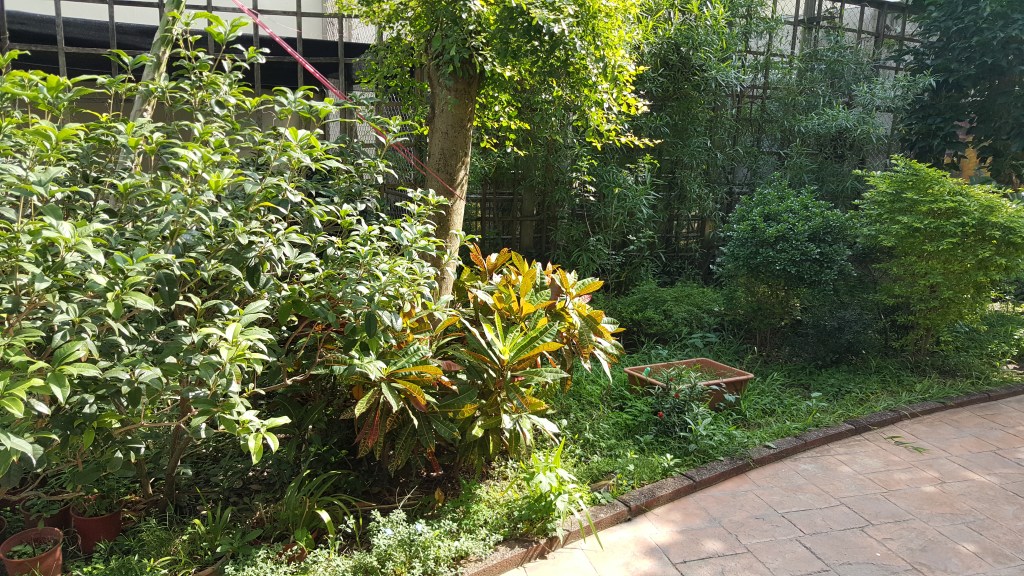 台灣遠距復健敘述